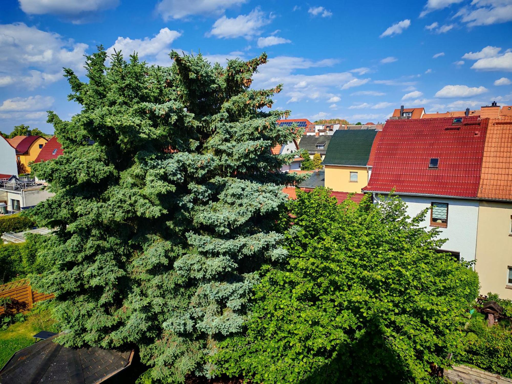 Domstadt Apartments Merseburgo Exterior foto